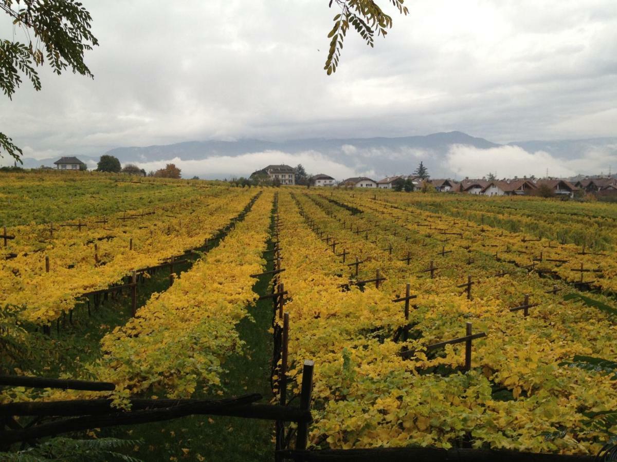 Ansitz Jenner Apartamento Appiano Sulla Strada Del Vino Exterior foto