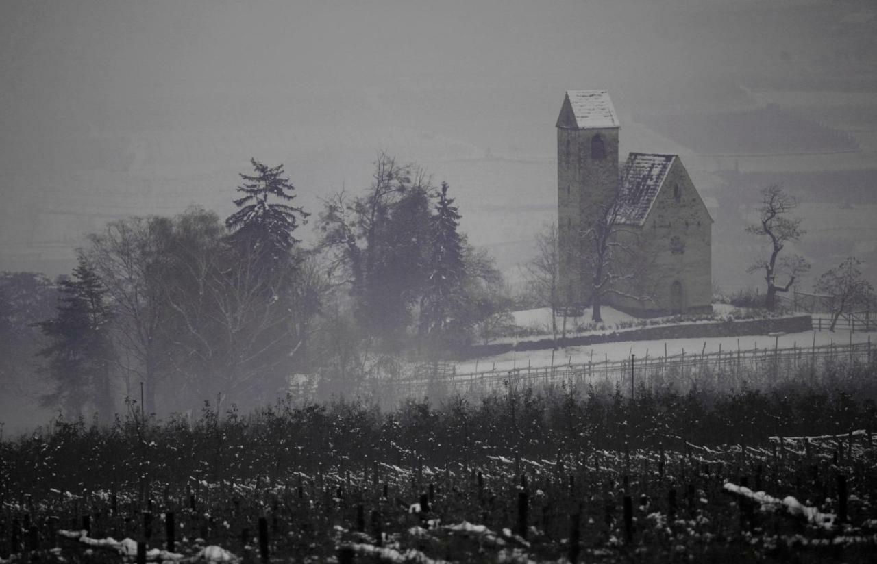 Ansitz Jenner Apartamento Appiano Sulla Strada Del Vino Exterior foto